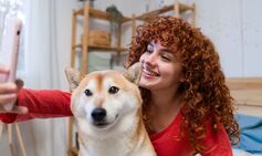 dog therapy university student stress