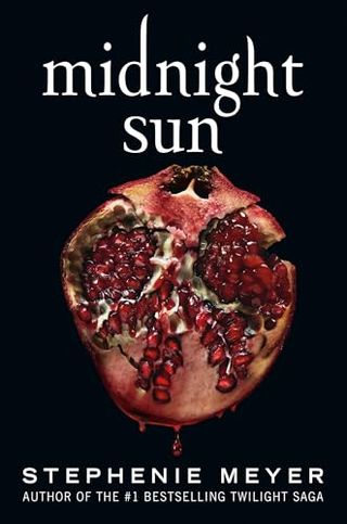 Midnight Sun book cover