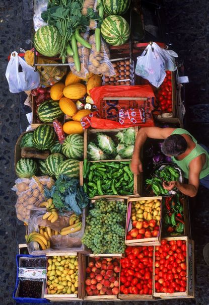 Explore the Local Farmers Market