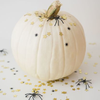 Pumpkin, Cucurbita, Pattypan squash, Plant, Winter squash, Still life photography, Squash, Vegetable, Calabaza, Food, 