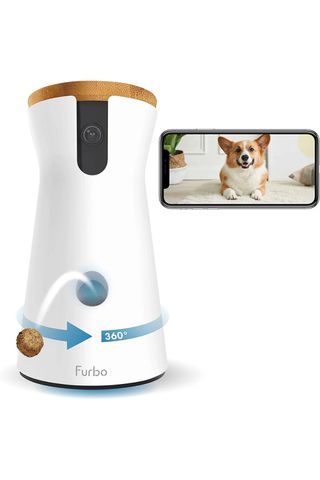 dog camera