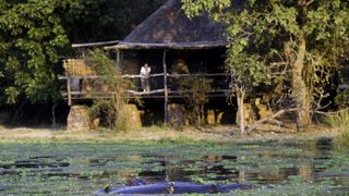 Water, Reflection, Tree, House, Nature reserve, Rural area, Lake, Bayou, River, Leaf,