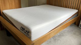 REM-Fit 600 Lux Elite review