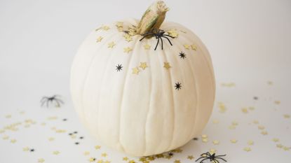 Pumpkin, Cucurbita, Pattypan squash, Plant, Winter squash, Still life photography, Squash, Vegetable, Calabaza, Food, 