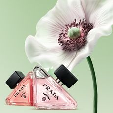 prada fragrance