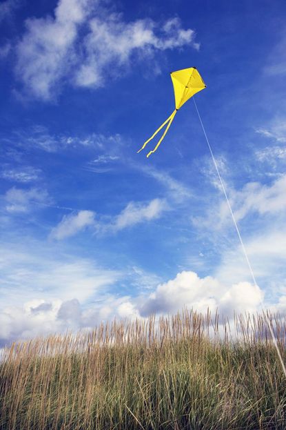 Fly A Kite