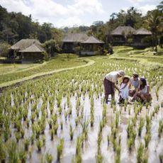 Ubud, Bali