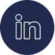 LinkedIn  Link Icon