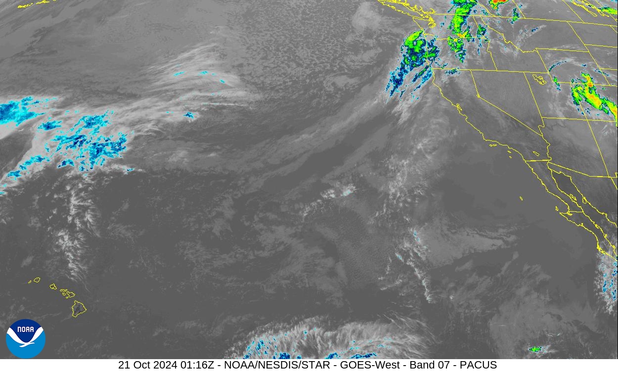 Band 7 - 3.9 µm - Shortwave Window - IR - 21 Oct 2024 - 0116 UTC