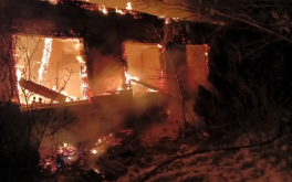 При пожаре в Новосибирской области погибли женщина и двое детей