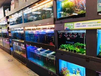 【門市服務】水族百貨