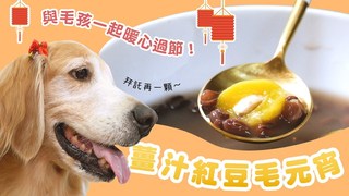 【毛爸鮮食提案】毛孩元宵輕鬆學！與寶貝一起團圓過節～