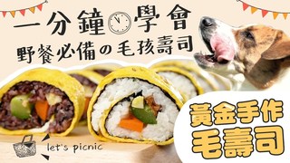 【毛爸鮮食提案】狗狗郊遊野餐必備鮮食！超簡單毛孩專屬壽司