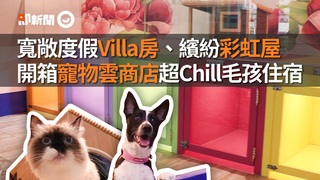 寬敞度假Villa房、繽紛彩虹屋　開箱寵物雲商店超Chill毛孩住宿