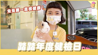 侑敏頻道-踏踏年度健檢日！要一直健健康康的！｜兩隻胖兔兔