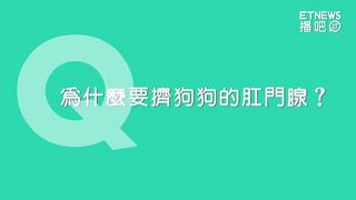 PetTalk－為什麼要幫狗狗擠肛門腺？避免磨屁股嗎？