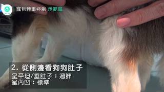 PetTalk－不讓狗狗貓咪過胖！啟動體重控制（示範篇）