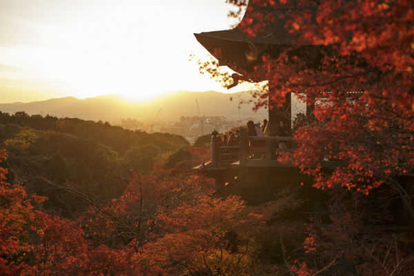 清水寺（圖／翻攝自清水寺官網）