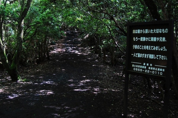 富士山腳下「自殺森林」　恬靜樹木間躺滿屍骸。（圖／翻攝自NAVERまとめ）