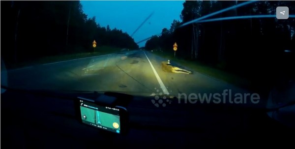 ▲▼麋鹿穿越公路路遭高速衝撞　隨即跛腳逃跑。（圖／取自Newsflare影片）