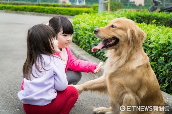 ▲新北市多所動物之家環境優美。（圖／新北市動保處提供）