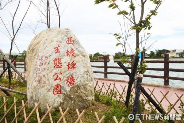 ▲八德區西坡埤塘生態公園啟用，將種植7800餘株大小樹。（圖／桃園市政府提供）