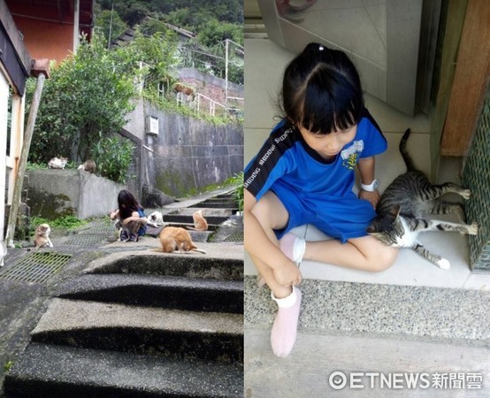 ▲基隆浪貓兄弟遭下毒！慢慢爬回門口斷氣...小學生蹲地痛哭：小黑！！（圖／網友吳憶靜提供，請勿隨意翻拍，以免侵權。）