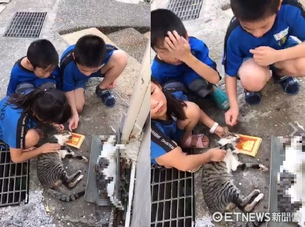 ▲基隆浪貓兄弟遭下毒！慢慢爬回門口斷氣...小學生蹲地痛哭：小黑！！（圖／網友吳憶靜提供，請勿隨意翻拍，以免侵權。）