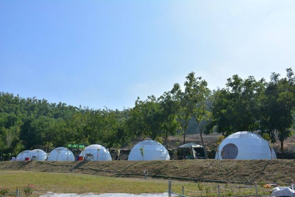 ▲台南鹿兒島生態園區。（圖／鹿兒島生態園區提供）