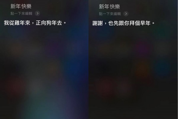 SIRI貓對狗年的看法。（圖／翻攝自Siri畫面）