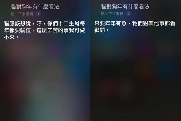 SIRI貓對狗年的看法。（圖／翻攝自Siri畫面）