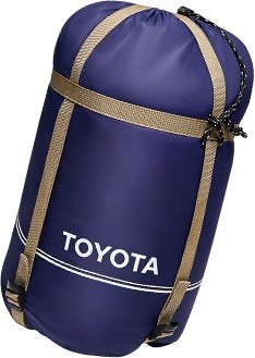 toyota 業配。（圖／toyota提供）