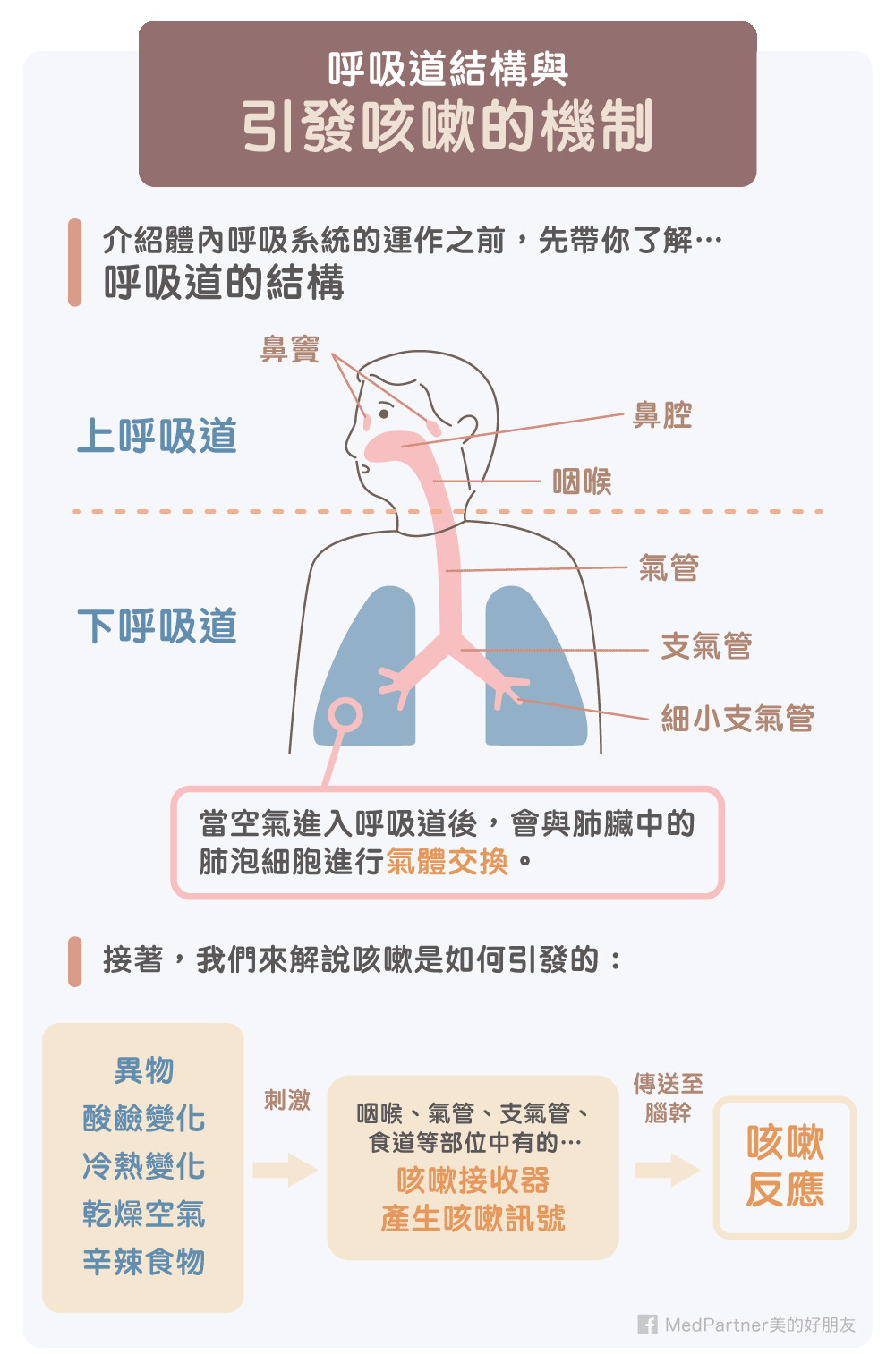 咳不停＝肺癌？依發作時間分這3種。（圖／MedPartner美的好朋友授權提供）