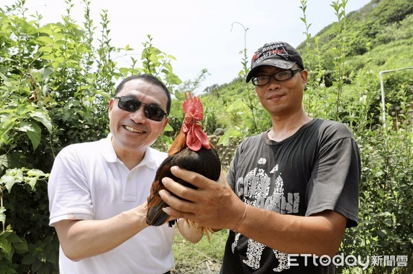 ▲ 愛雞慘遭野狗咬死 他痛心：請動保處正視浪犬攻擊問題。（圖／記者郭世賢翻攝）