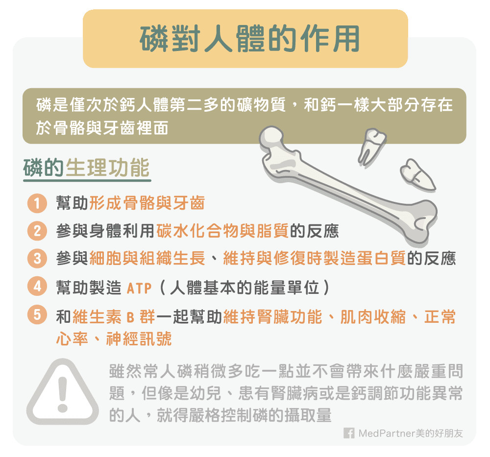 再製起司吃太多反而補不到鈣？（圖／MedPartner美的好朋友授權提供）