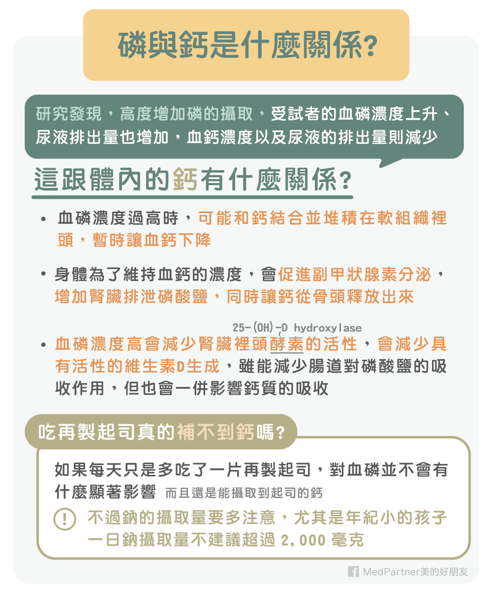 再製起司吃太多反而補不到鈣？（圖／MedPartner美的好朋友授權提供）