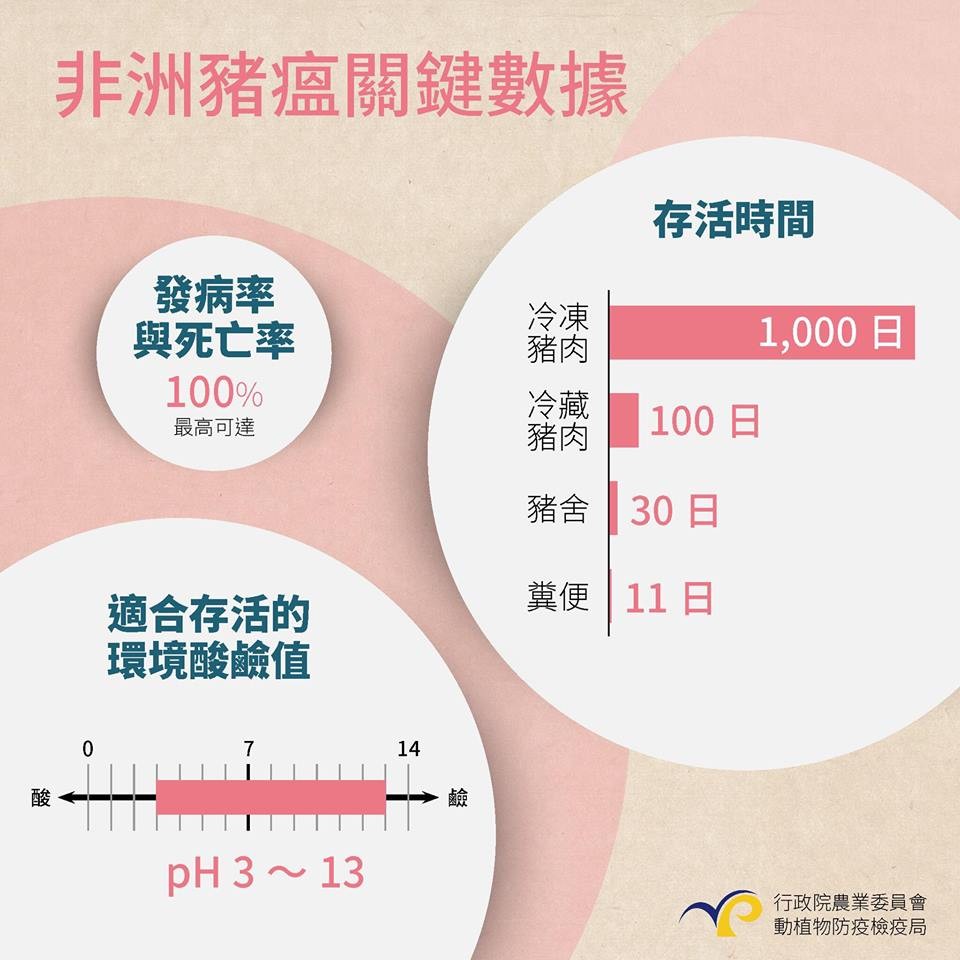 ▲非洲豬瘟小檔案。（圖／防檢局提供）