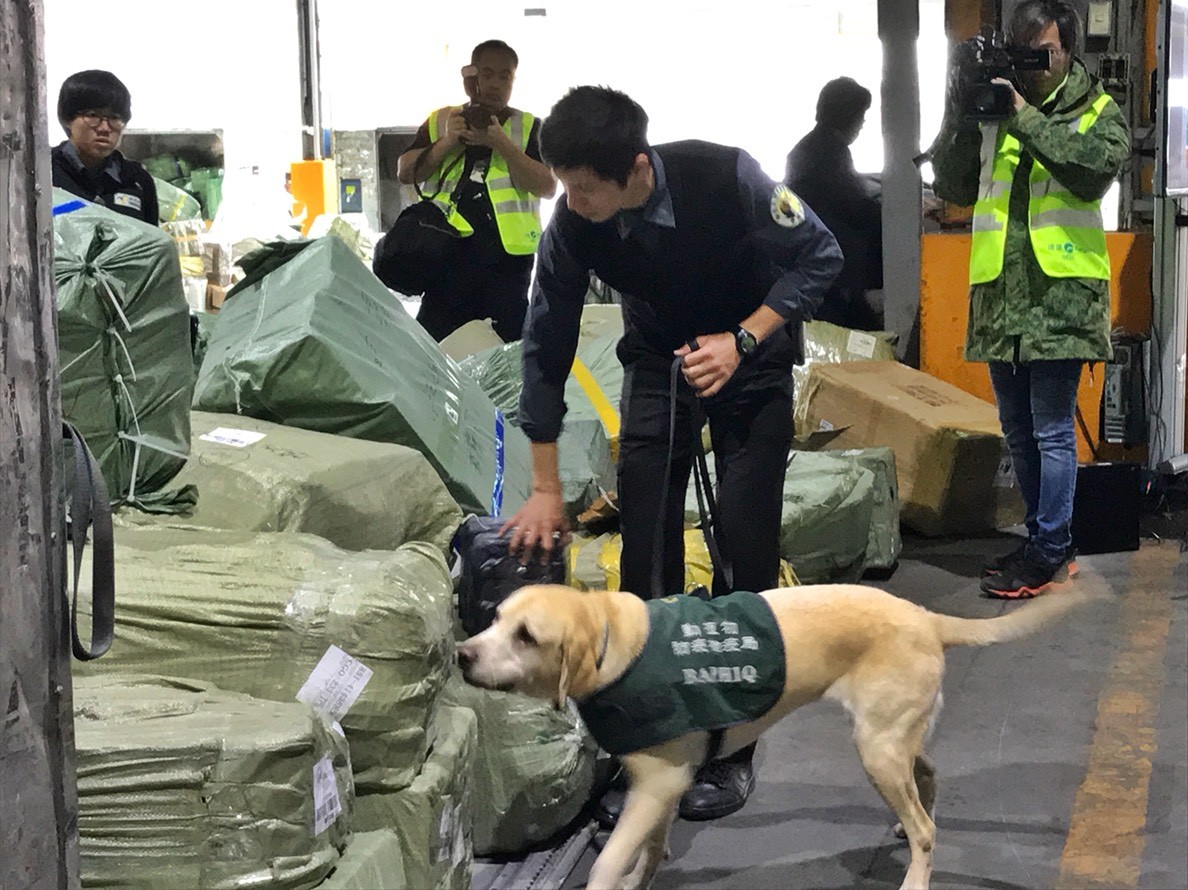 ▲▼林聰賢到桃園國際機場視察豬瘟防範狀況。（圖／農委會提供）