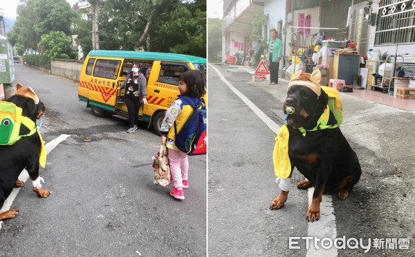 上車遭拒！老師一句話讓牠好受傷。（圖／授權自洛威拿〝慢慢〞粉絲專頁，下同）