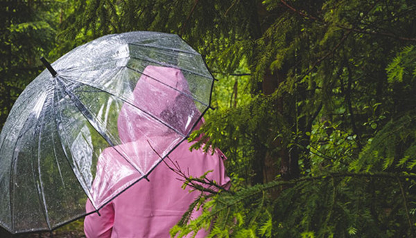 雨傘也是汙染源！　專家：尤其這類傘更難回收