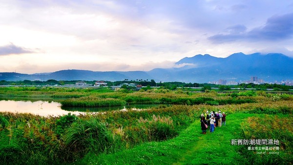 ▲社子島濕地一日遊免費報名 。（圖／台北市水利處提供）