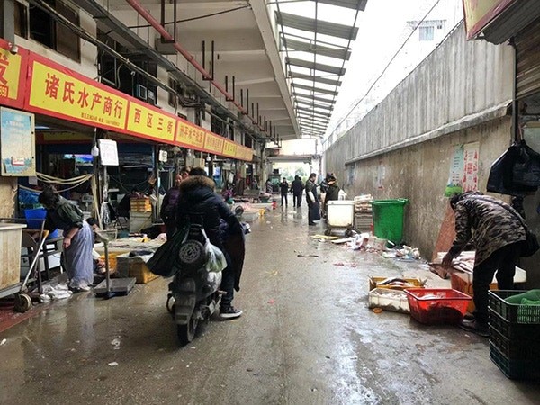 ▲▼武漢不明原因肺炎爆發華南海鮮市場「休市整治」　山產店「兔頭內臟」丟地上。（圖／翻攝澎湃新聞）