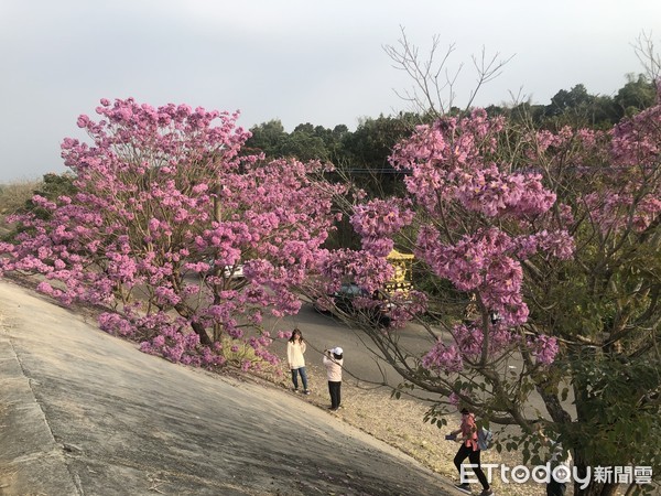 ▲嘉義赤蘭溪橋旁。（圖／記者陳涵茵攝）