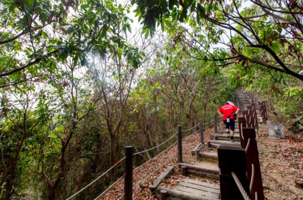 ▲新田登山步道。（圖／翻攝自《台中觀光旅遊網》官方網站，下同。）