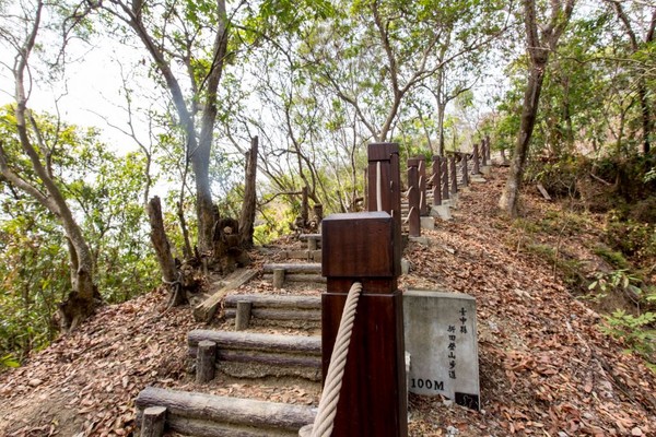 ▲新田登山步道。（圖／翻攝自《台中觀光旅遊網》官方網站，下同。）