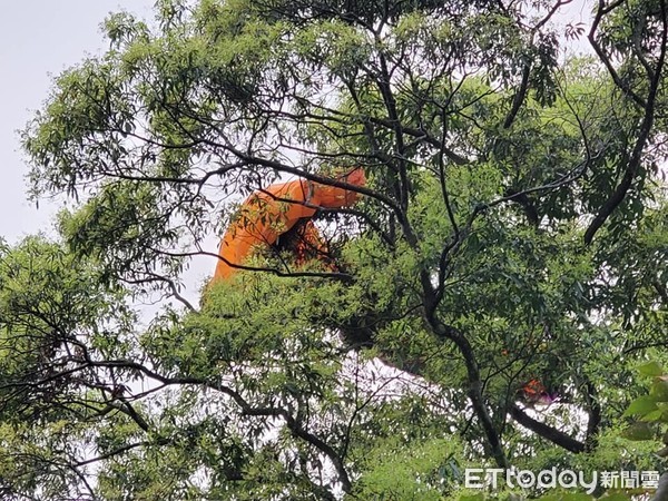 ▲▼南投埔里虎頭山區， 飛行傘玩家迫降山腳受困，消防救難人員耗時3小時完成艱鉅的救援任務。（圖／張弘昌翻攝，下同）