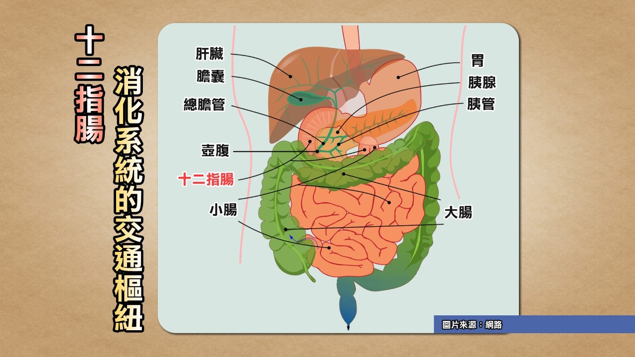 ▲▼             。（圖／TVBS提供）