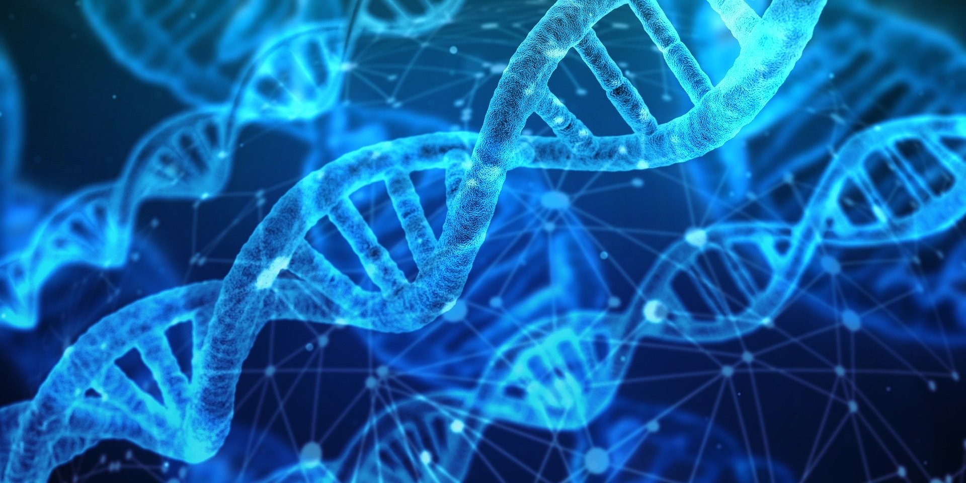 COVID-19,疫情,疫苗,mRNA,DNA,RNA,蛋白質,染色體,萬磁王