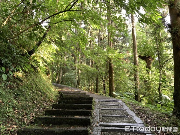 ▲東眼山國家森林遊樂區。（圖／記者彭懷玉攝）