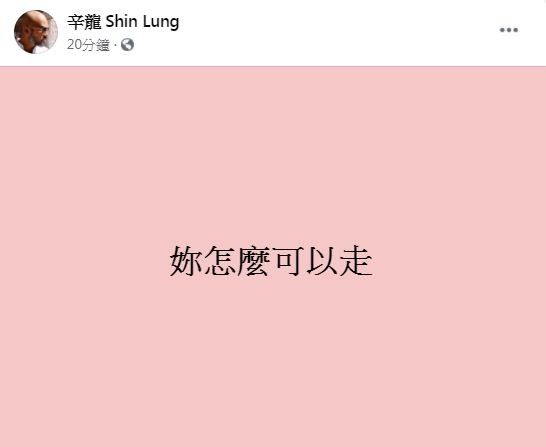 ▲▼辛龍痛失劉真：妳怎麼可以走。（圖／翻攝自YouTube／辛龍 Shin Lung）